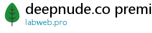 deepnude.co premium keys